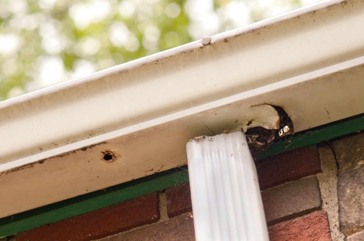 Guttering Contractors Wiltshire